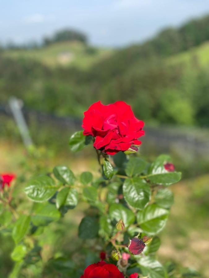 Trautenburg Stub'N Leutschach Dış mekan fotoğraf