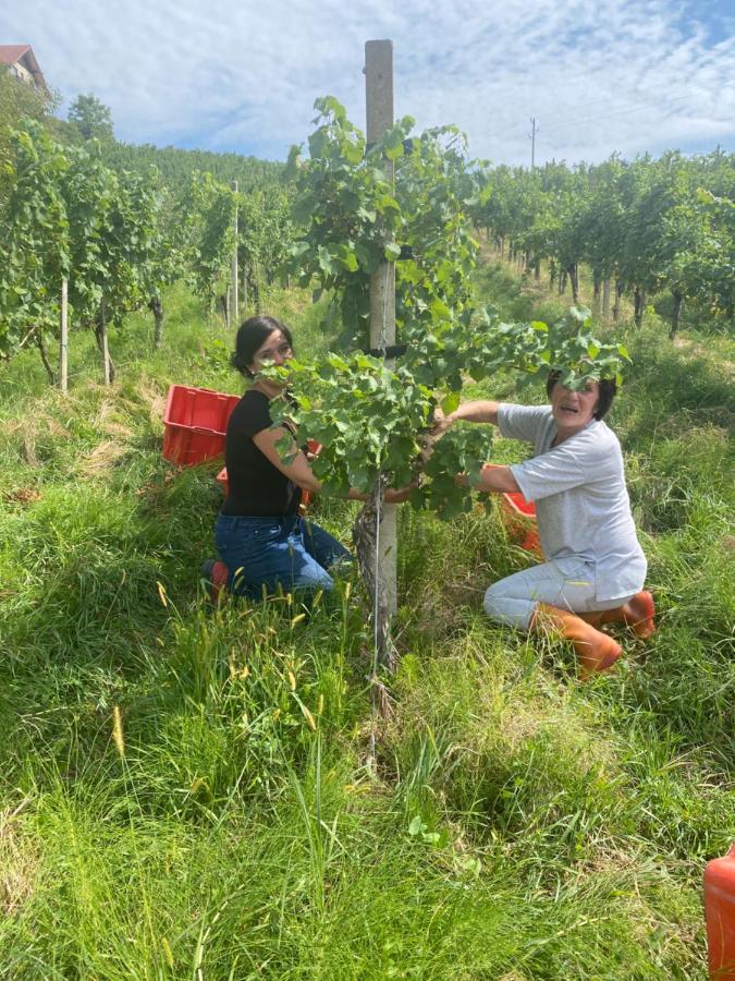 Trautenburg Stub'N Leutschach Dış mekan fotoğraf