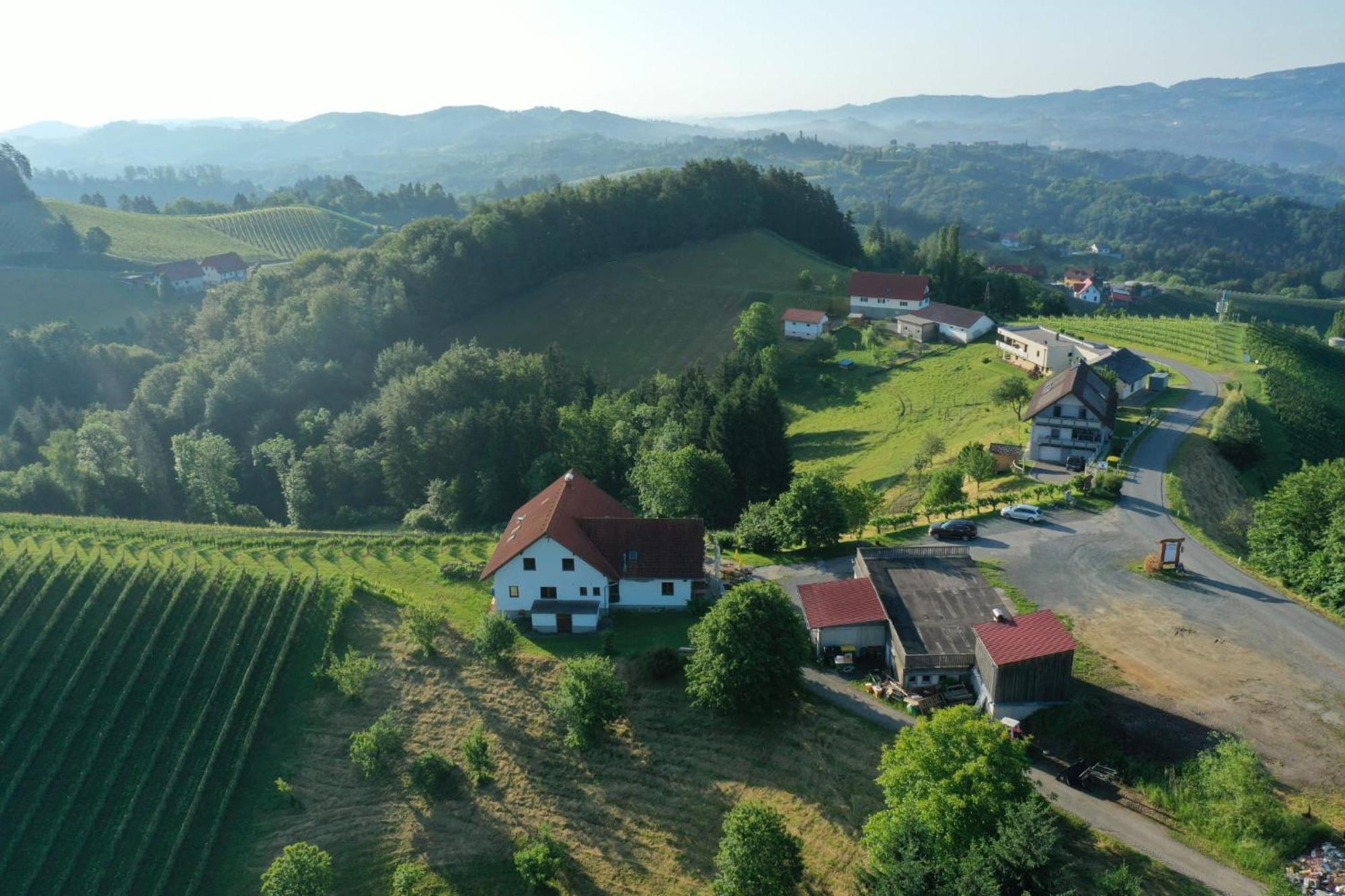 Trautenburg Stub'N Leutschach Dış mekan fotoğraf